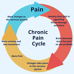Chronic Pain and Physical Therapy - Capital Area PT & Wellness
